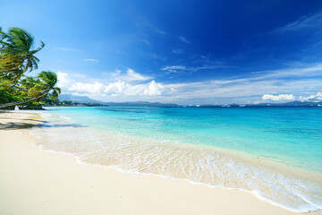 南国の青空とビーチ