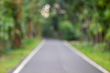 A blurred asphalt road lined with lush green trees and foliage