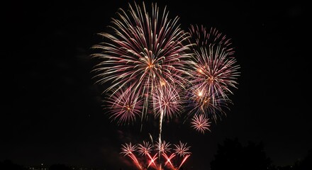 Obraz premium Fireworks display against dark night sky