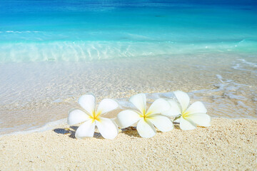 南国の青空とビーチ