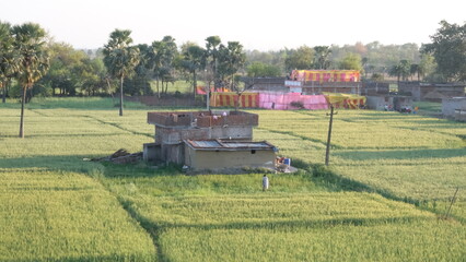 Fototapeta premium soil house in India