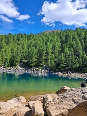 Lago alpino circondato da boschi e montagne