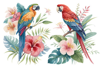 Exotic Watercolor Parrot with Tropical Flowers Isolated on White