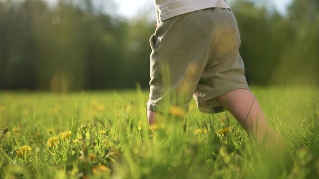 Child's bare feet running through a field. Baby steps in the grass at the park. A child is walking on bare feet. A child's unshod feet dashing across a meadow lifestyle.