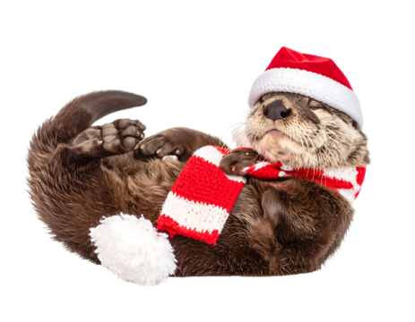 Adorable Otter in Santa Hat and Scarf on Snowy Background