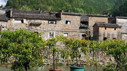 The old architectures view with the traditional Chinese style in the countryside of the China
