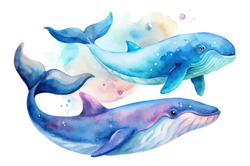 cute Watercolor marine whale animals