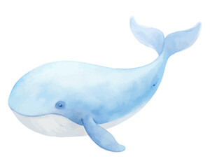 cute Watercolor marine whale animals
