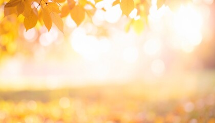 秋のイメージ　柔らかな木漏れ日と紅葉をイメージした背景画像