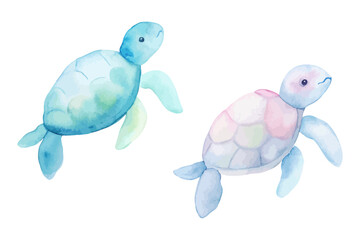 cute Watercolor marine turtle animals