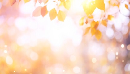 秋のイメージ　柔らかな木漏れ日と紅葉をイメージした背景画像