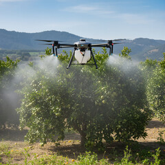 agriculture drone in citrus groves