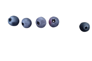 A fresh blueberry and a black olive, each a healthy sphere, are arranged like the classic Yin Yang symbol with a bowling ball and pins.