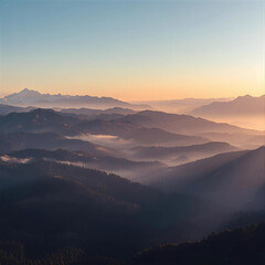 Fogging Around Timbered Slopes