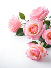 Blurred a group of sweet pink rose corollas on white isolated background with copy space