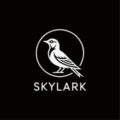 Fototapeta premium sky lark