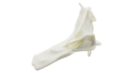Obraz premium Closeup liquid milk splash isolate on white backgound. 3d render.