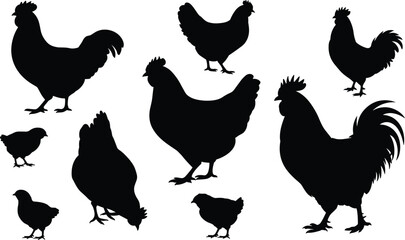 Flat vector illustration of chicken and rooster silhouettes, farm bird shapes, hen and cock icons, poultry animals, black and white vector art, rural livestock design.