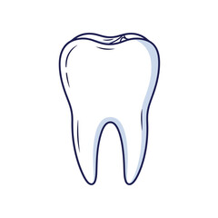 tooth isolated on white background