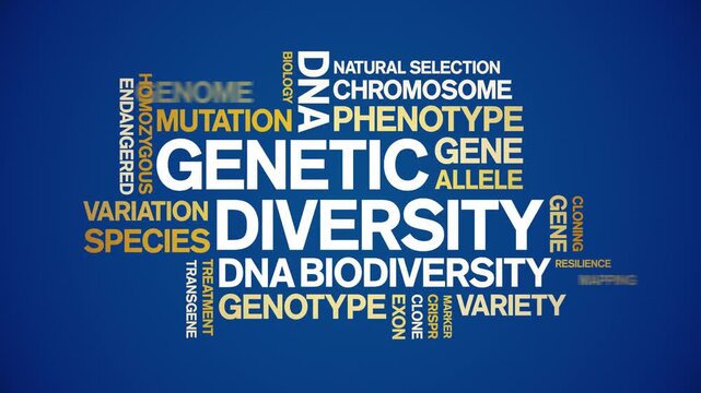 Genetic Diversity animated word cloud-text design animation tag kinetic typography seamless loop.