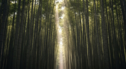 Naklejka premium Radiant sunlight piercing through a dense canopy of towering bamboo stalks, forming a natural serene pathway in a vibrant green forest, evoking peace and natural beauty