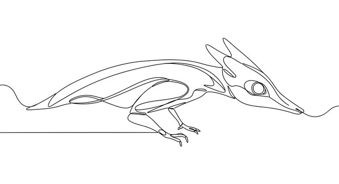 Stylized line drawing of a fictional lizard-like creature  