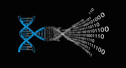 Decoding Life's Code A Digital Transformation of DNA into Binary Information