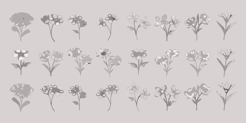 Collection of delicate hand drawn watercolor style flowers in monochromatic tones on a neutral background