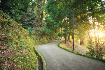 Beautiful summer lamdscape scene of road and forest with sun shine.
