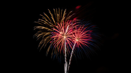 Colorful pyrotechnics light up the night sky in a festive celebration