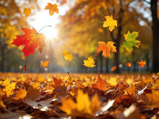 Colorful and bright autumn maple leaves create a beautiful background in a vibrant forest