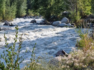 Photo of a fast-flowing mountain river surrounded by green vegetation and large rocks under bright sunlight.