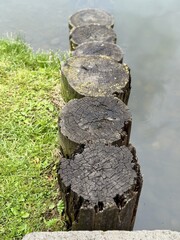 A Weathered Wood Log Cross Section showcasing distinct Natural Patterns and textures found in nature. Close-up of a beautifully cracked and weathered wood log, showcasing intricate natural textures