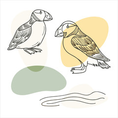 Atlantic puffin silhouettes set. Realistic Fratercula arctica or common puffin birds in different poses. vector birds