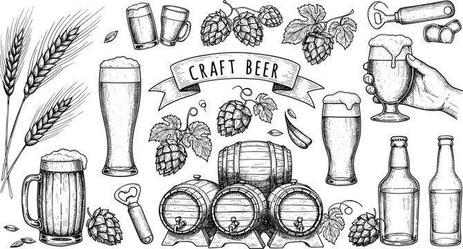 Vintage hand drawn craft beer set with barrels, hops, wheat, beer mugs, bottles, opener, glass, brewing elements