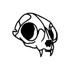 gothic cat skull drawing