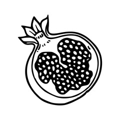 half pomegranate vector illustration