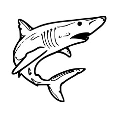 great white shark outline drawing