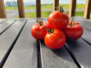 tomatoes on a wooden table in morning light