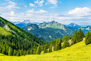 Blick vom Breitenberg bei Pfronten in die Alpen