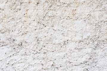 Rough White Textured Wall Surface with Natural Patterns and Details
