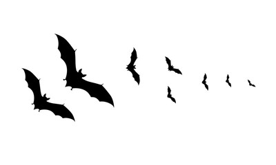Silhouetted bats flying across a bright white background, perfect for Halloween and spooky designs