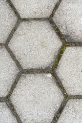 Hexagonal Concrete Paving With Grass Growing in Between the Cracks