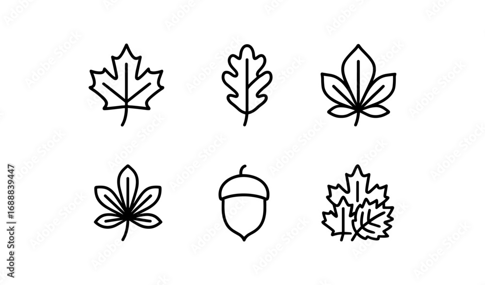 Poster simple linear outline of different autumn leaves and acorn icons