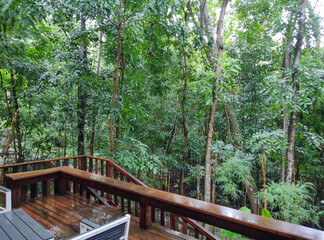 Outdoor park or garden view