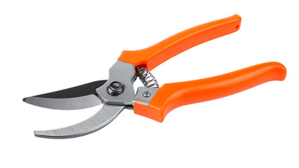 Fototapeta premium A pair of bright orange handled garden pruning shears, also known as secateurs, for trimming plants and branches, isolated on a clean white background