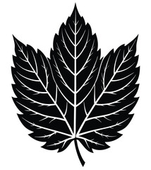 Black and white leaf silhouette vector illustration of a plant and floral design