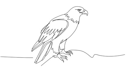 Obraz premium Eagle illustration with detailed line art perched on a branch 