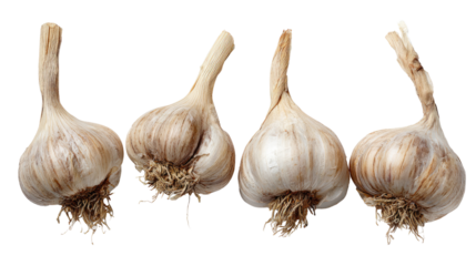 Fresh garlic bulbs arranged on a white background, showcasing their natural texture and color. Perfect for culinary uses, health benefits, and rustic kitchen themes.