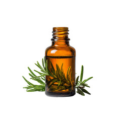 Amber Bottle of Rosemary Essential Oil with Fresh Sprigs